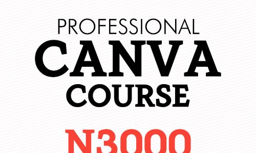 PROFESSIONAL CANVA COURSE